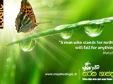 pst-cards_Page_3